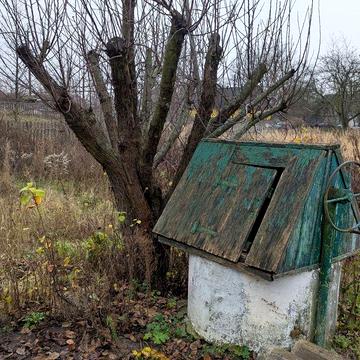 Продається будинок в селищі Хорошів.