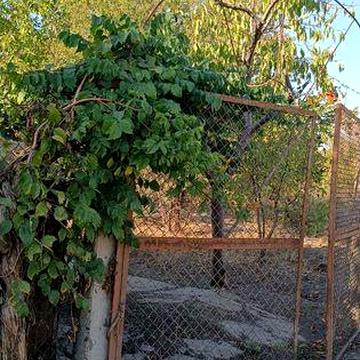 Продається Дача 4.5 соток
