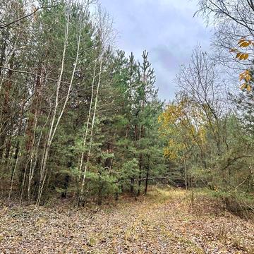 Рудня-Тальська, Вишгородський, Київська область 6000.0 USD