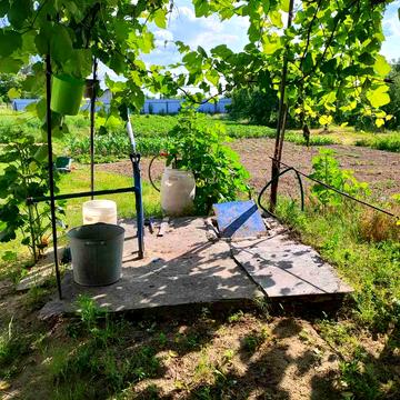 Шевченківська