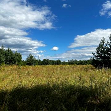 Дмитрівка, Бучанський, Київська область 11000.0 USD