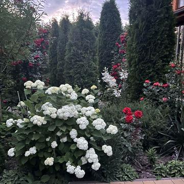 Будинок від власника перемичка перша лінія