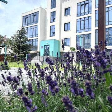 1к квартира Ірпінь ЗДАНИЙ будинок, можна на ремонт ЖК Ібіс