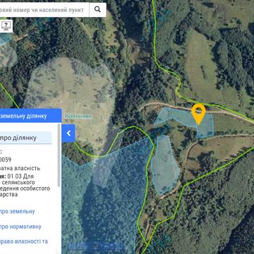 Колочава, Хустський, Закарпатська область 23460 USD