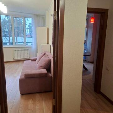 Продаж 1к Квартира Василя Стуса (Пушкінська) вулиця