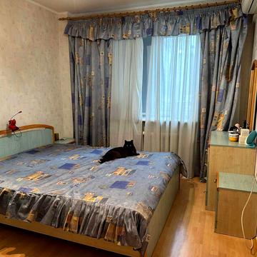 Святошинський пров., 1