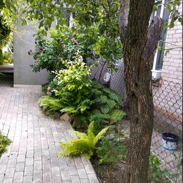 Здається  невеликий  будинок  Олександрівський/ Шевченківський район