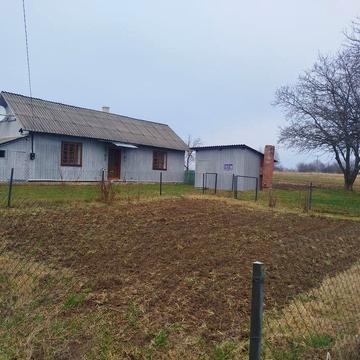 Будинок в Карпатах, біля лісу