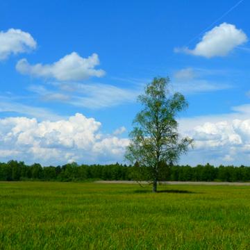 Лобановського вул.