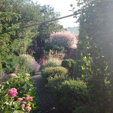 Продам дом Ужгород, Гагаріна вул.