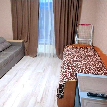 Оренда 1к вул. Центральна 3, Чабани