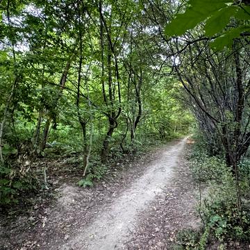 Ланова вул.