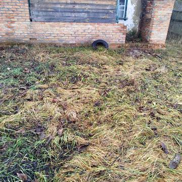 Продається Будинок