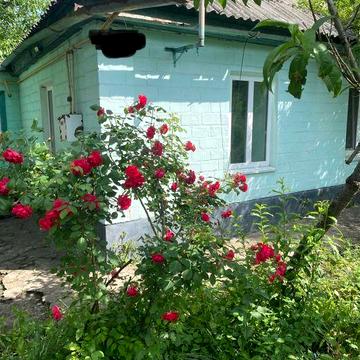 Здам в оренду будинок