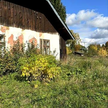 Продаю будинок в центрі  Лисеця,