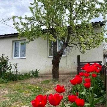 Продається Будинок в с.Холмок