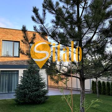 Центральная