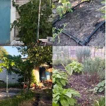 Продам свою дачу