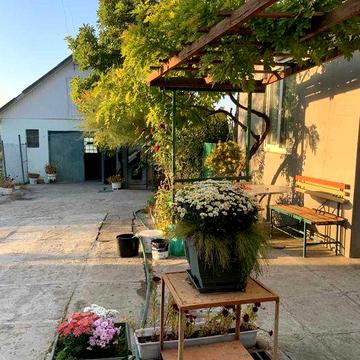 Продається Будинок в центрі, р-н Рязані