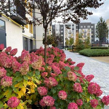 Продаж 1-к квартири в заселеному будинку.  Вигідна інвестиція.  Ирпінь