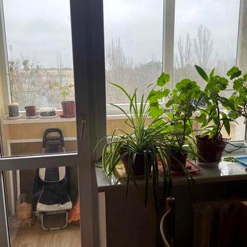 1-нокімнатна квартира, вул,Кубанської України,25/21, М"Лісова"