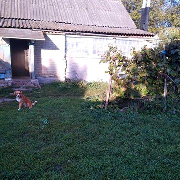 Продається будинок в селі Терешківка, Сумська область