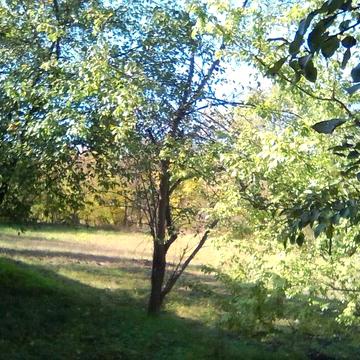 Будинок для житла дачі розміщений на березі р  П Буг