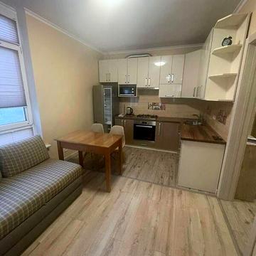 Довгострокова оренда 2к Квартира Пасічна вулиця ЖК Пасечный