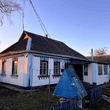 Продам будинок в селі Вільшанська Новоселиця Білоцерківський район Киї