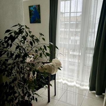 Павла Загребельного вул. (Миколи Раєвського), 11