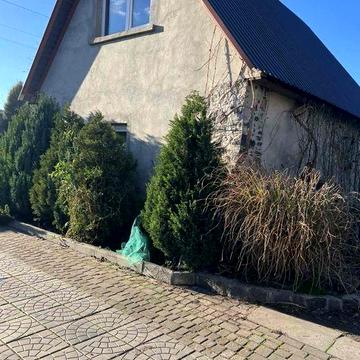 Оренда бкдинку в с. Балаклея