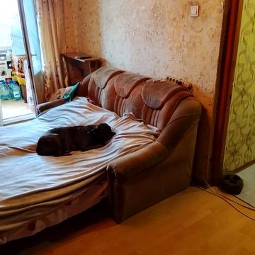 Леся Курбаса просп., 9