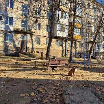 Сдаётся квартира - 3 комнаты, 4/5, 5000 (Школьная/Мельничная/ПГУ)