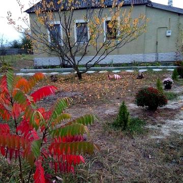 Домик в деревне у леса - с печкой, газом, бесперебойником!