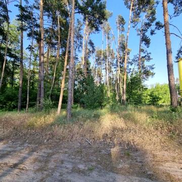 Підгірці, Обухівський, Київська область 150000.0 USD