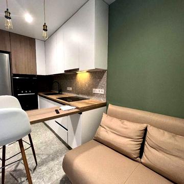 Сдам 2к Студия плюс спальня (центр iq house)