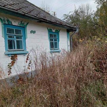 Будинок у селі з ділянкою