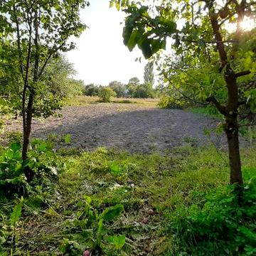 Продам дом дача участок сад огород