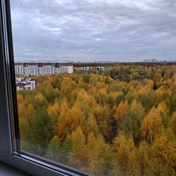 Сдаётся квартира 45 кв.м. Вишнёвое. Хозяин.