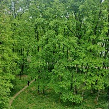 Оренда 3-х кімн в Шипці