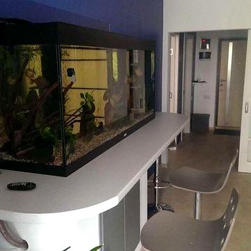 Сдам однокомнатную квартиру в ЖК Армейский