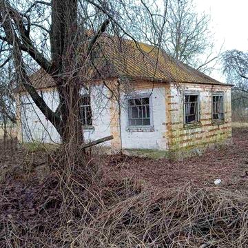 Продаж занедбаного будинку на ділянці 25 соток.Макарів с.Наливайківка