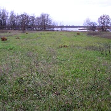 Продається будинок в с.Дзюбівка Яготинський р-н. Київська обл.
