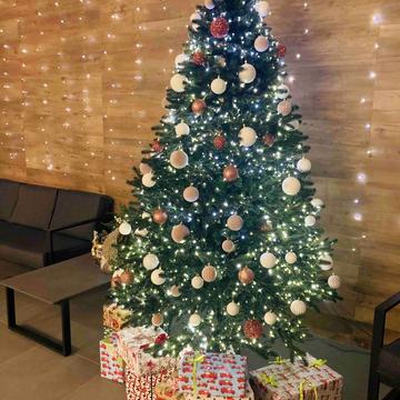 Олександра Олеся вул., 10