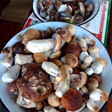 Продаж 2к Дім Свободи вулиця