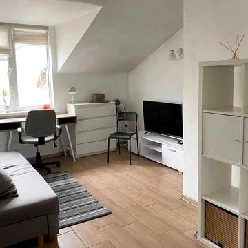 Здається квартира-студія на вул. Костя Левицького