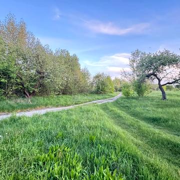 Березівка, Бучанський, Київська область 700.0 USD