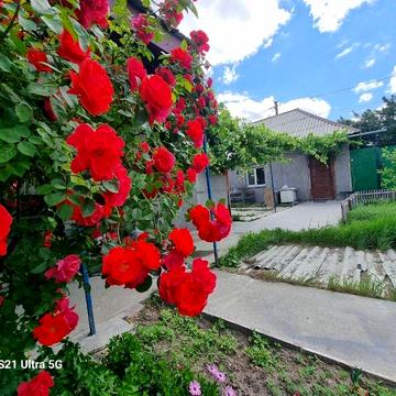 Сдам часть дома. Левый берег. Ул. Янтарная.  Риелторы не звоните.