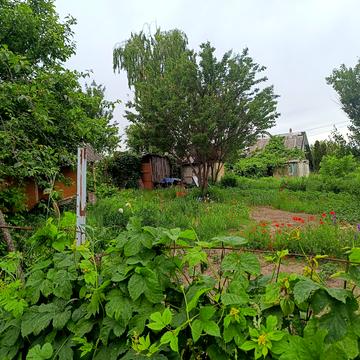 Кільцева вул.