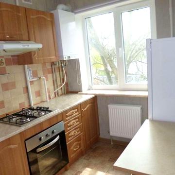 Аренда. Однокомнатная квартира. Дендропарк